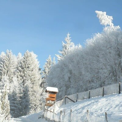 Einfahrt zum Hof-Winter