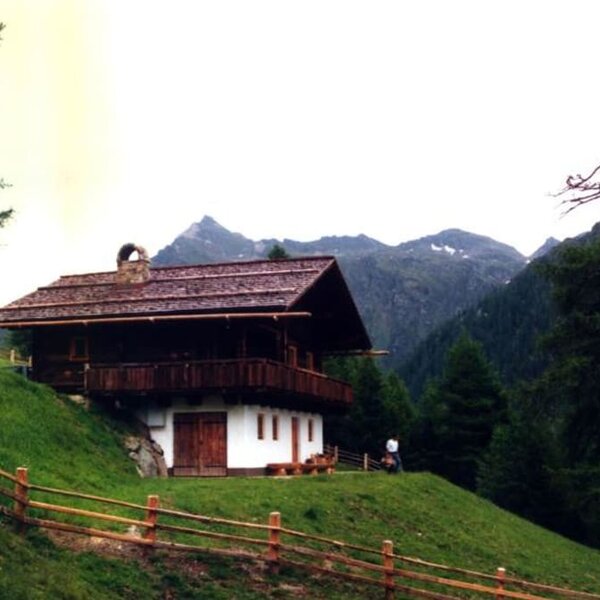 Hütte im Sommer