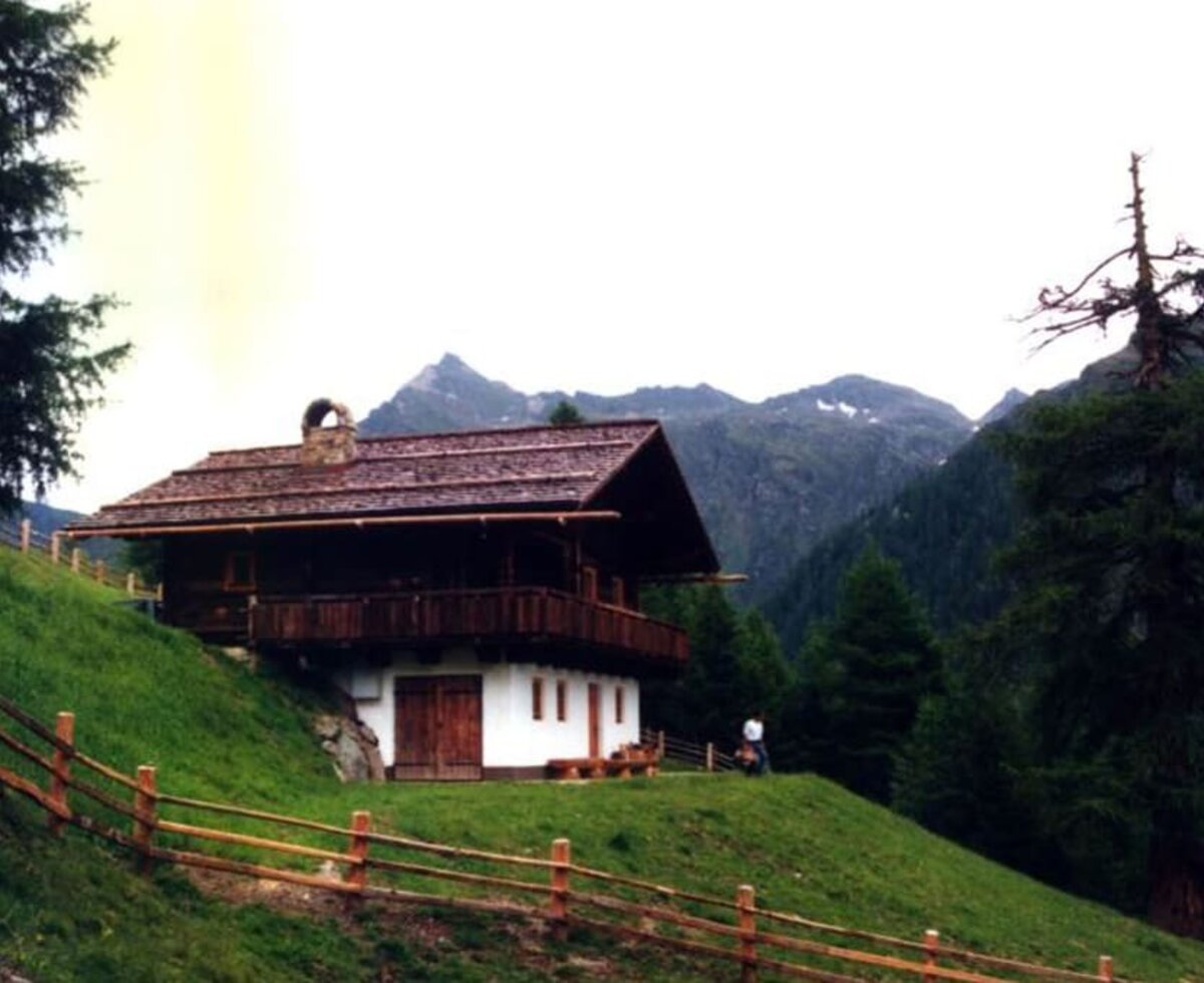 Hütte im Sommer