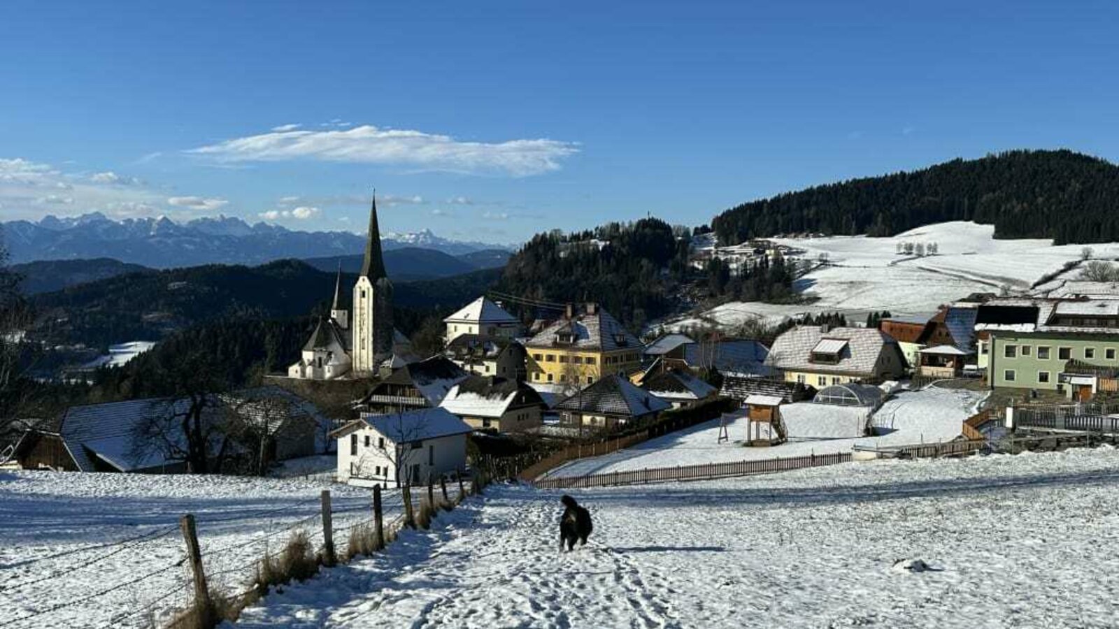 Sörg im Winter