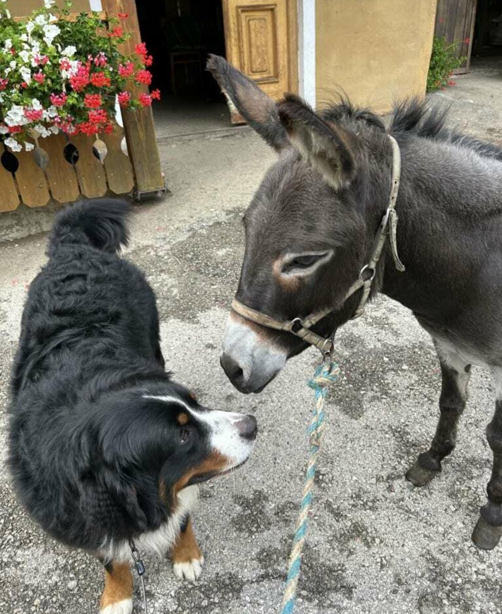 Bruno und Sophia