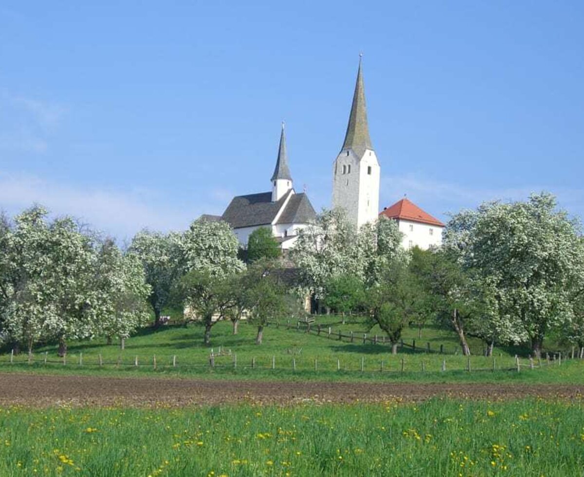 unser Obstgarten in Vollblüte