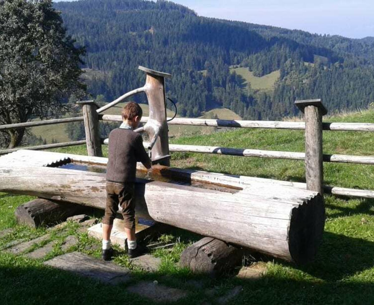 Lärchen - Wassertrog vor der Hütte