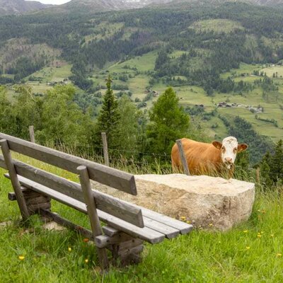 Blick Hohe Tauern