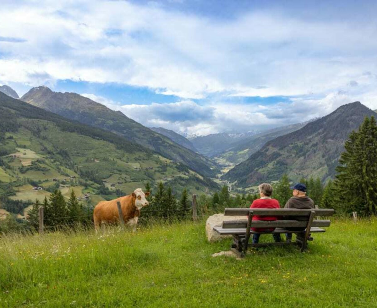 Blick Hohe Tauern