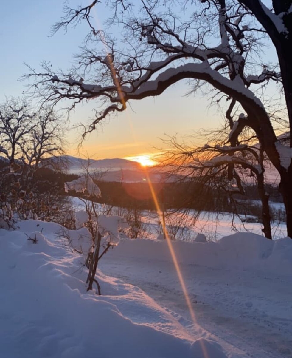 Winterlandschaft 