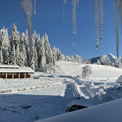 Winterpanorama