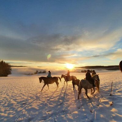 Winterlicher Ausritt bei Schnee im Sonnenuntergang