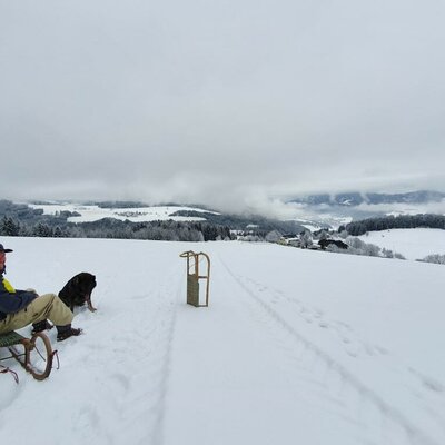 Auf den Schlitten, fertig, los!