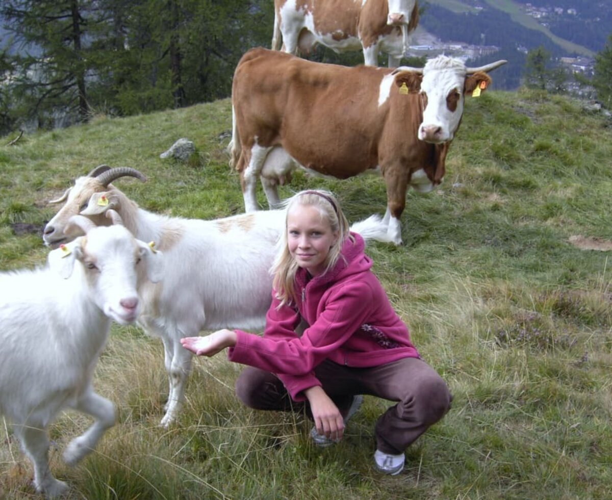 Die Tiere auf der Alm