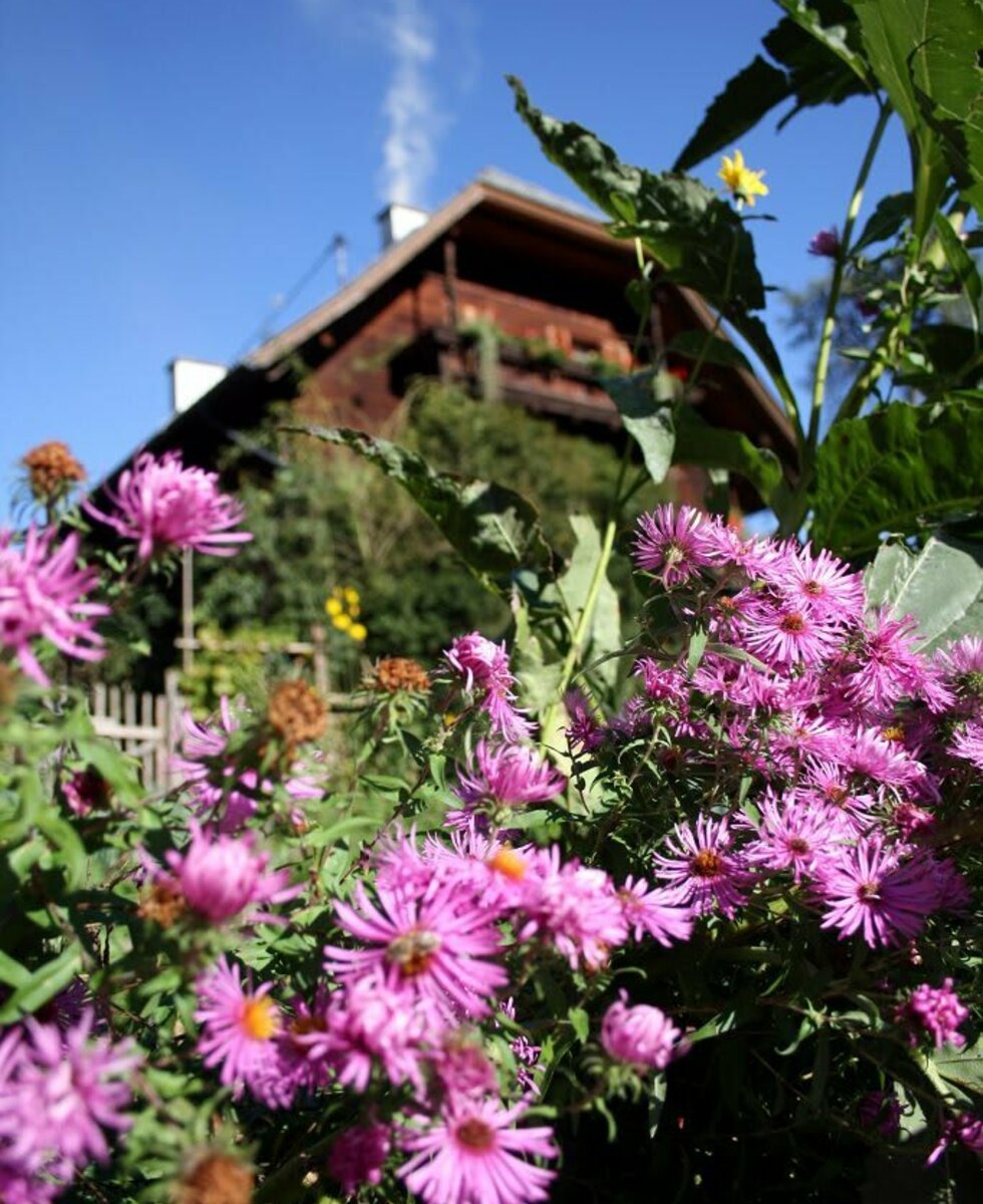 Blick vom Garten auf das Bauernhaus