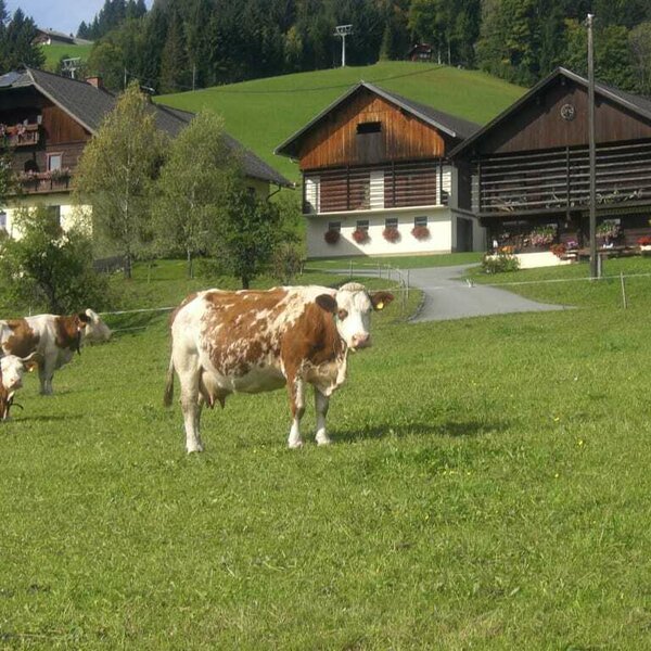 Unser Bauernhof