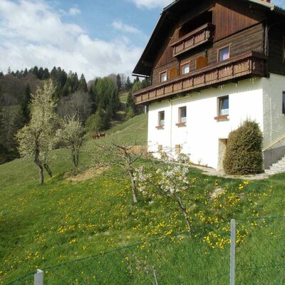 Blick von der neuen Güllegrube zum Bauernhaus