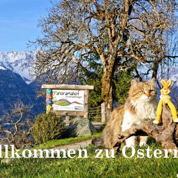 Ostern am Panoramahof