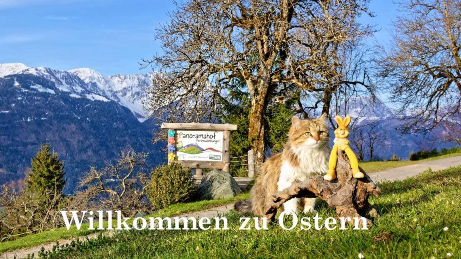 Ostern am Panoramahof