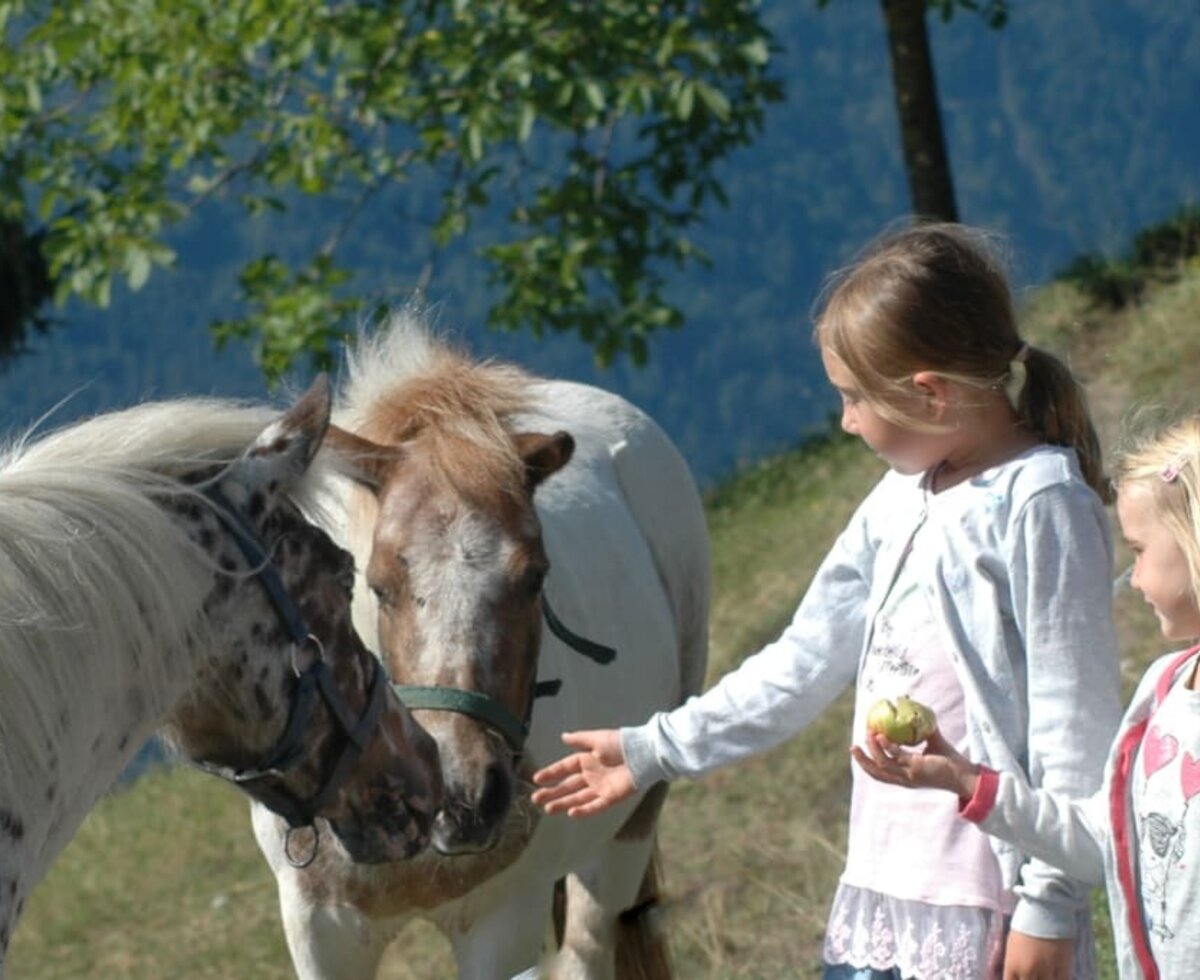 unsere zwei Ponys Straciatella und Karamella