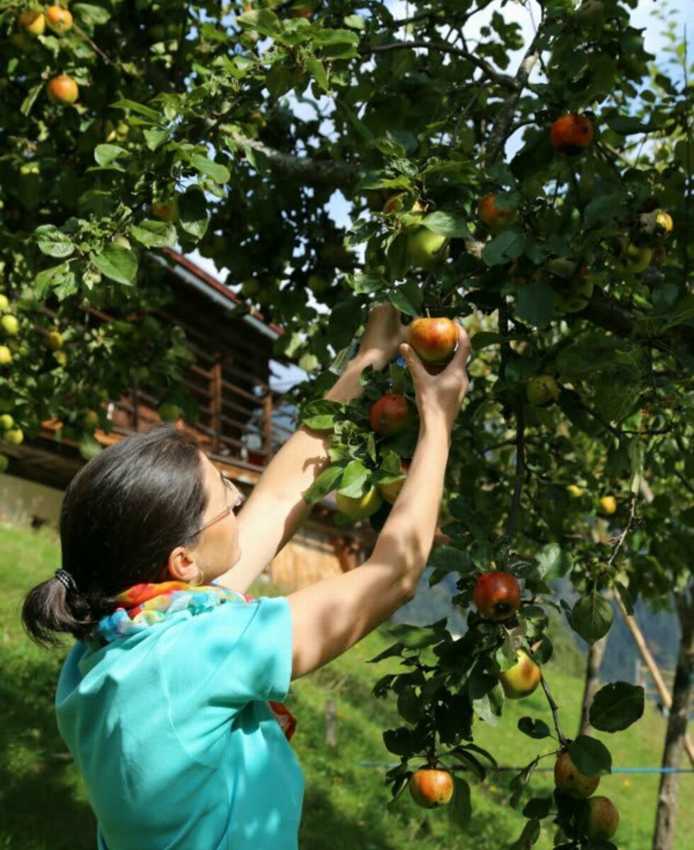 streuobstgarten