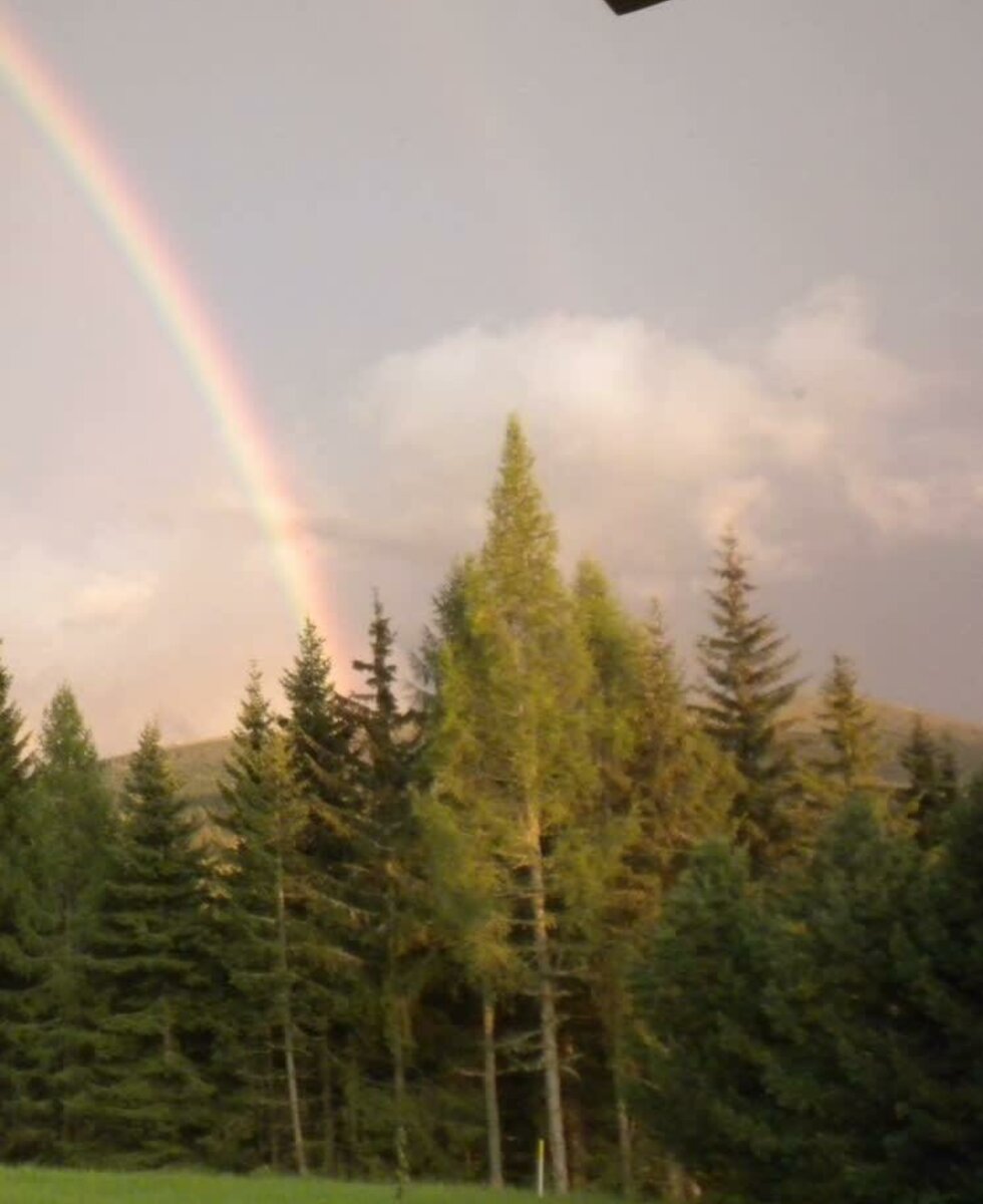 Regenbogen