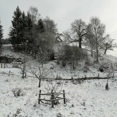 Winterlandschaft beim Sörgerwirt