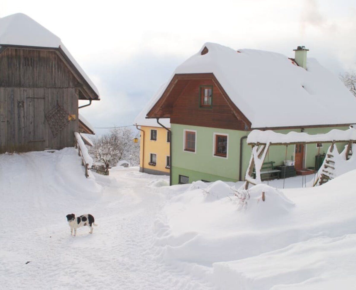 Haus Anderle im Winter