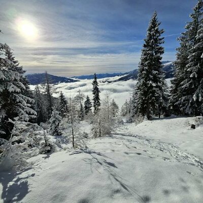 Ober der Nebelgrenze, bei strahlendem Sonnenschein