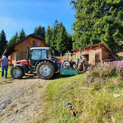 Holzmachen im Herbst