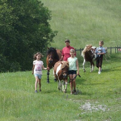 Ponyreiten am Sonnenhof am Weissensee