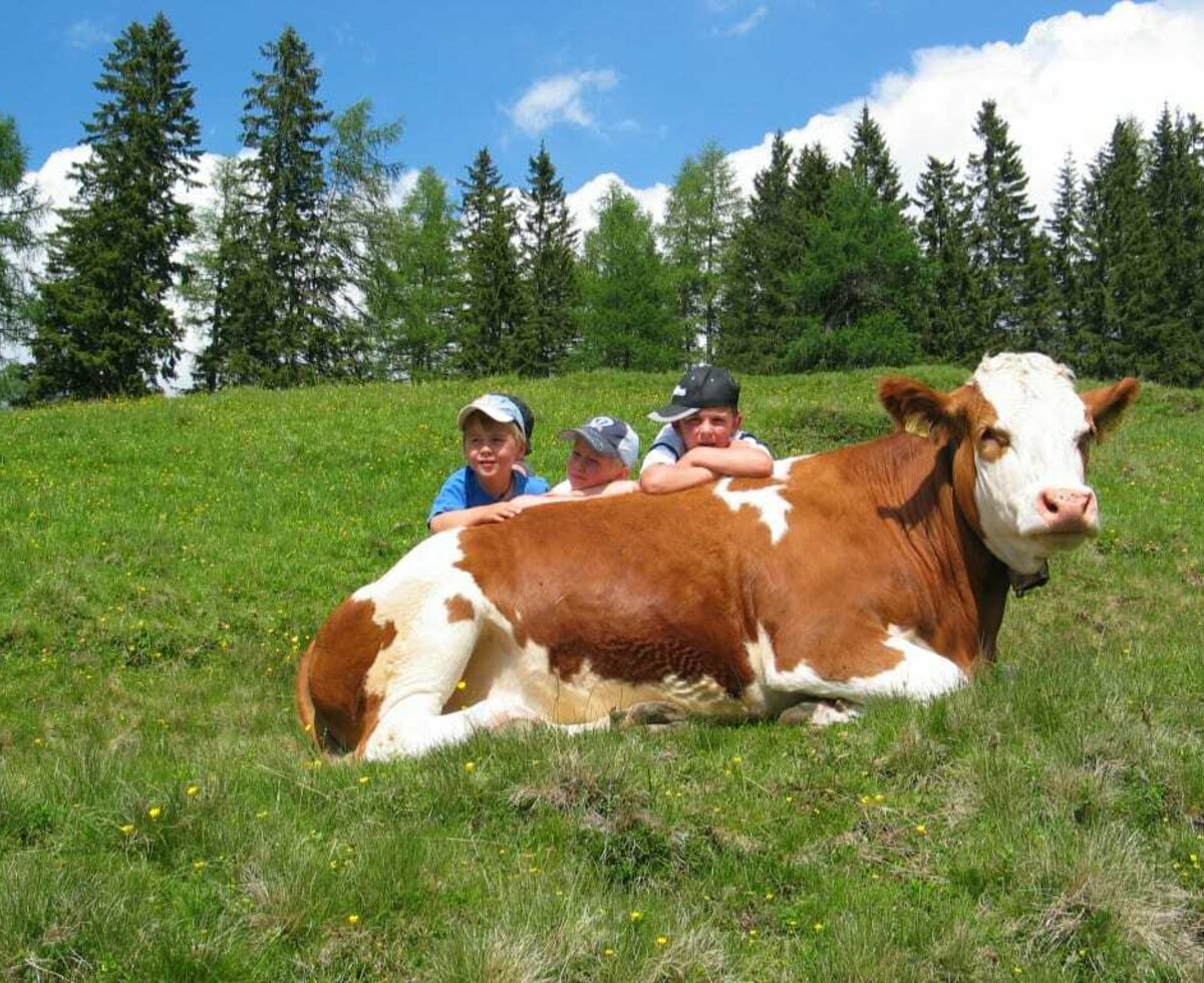 Auf der alm