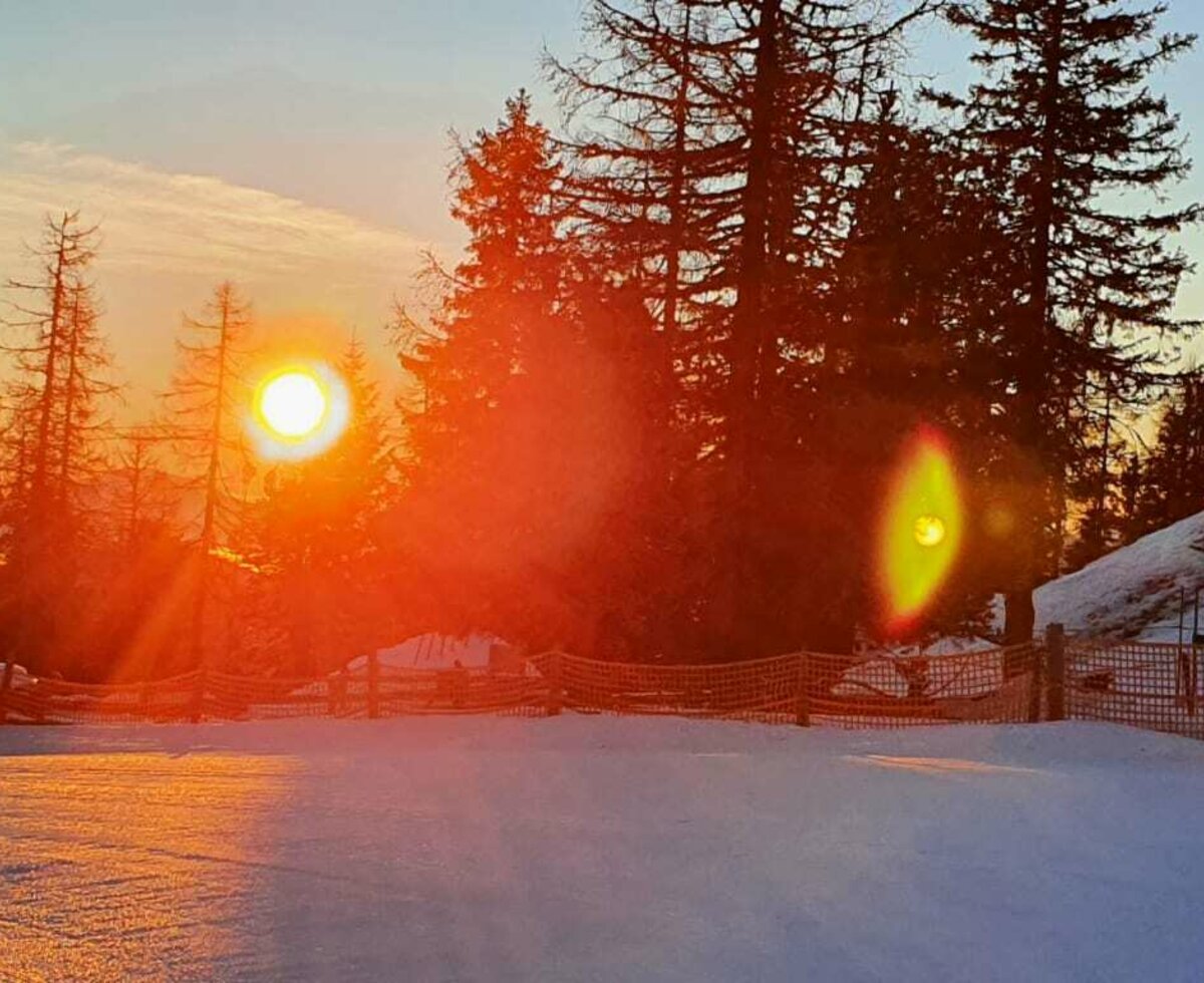 der frühe Vogel fängt die ersten Sonnenstrahlen