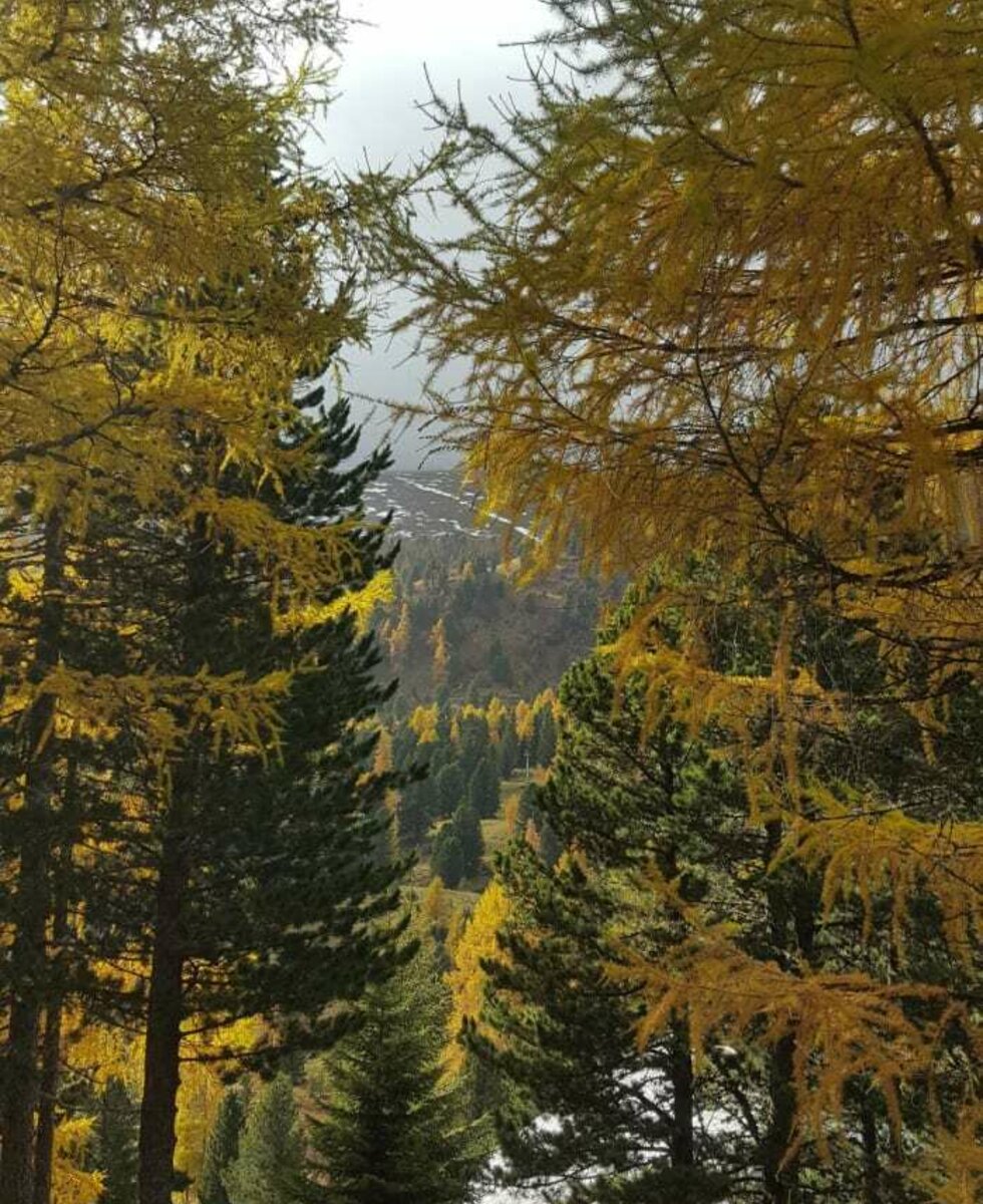 Ausblick vom Troadkastn auf den Falkert