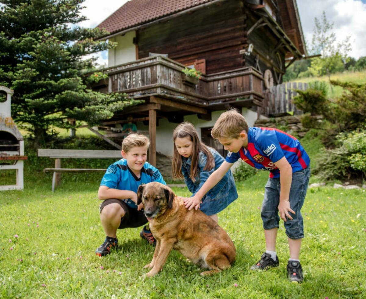 Kinder mit Hund