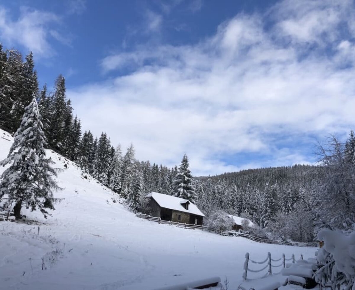 Waldbauer Winter Alleinlage