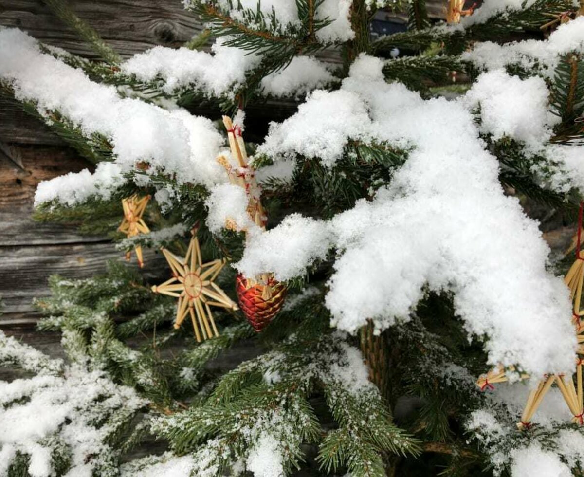 Almhütte Weihnachtsferien