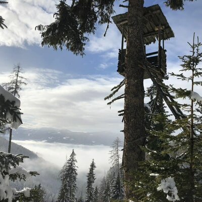 Waldbauer Winter Hochsitz