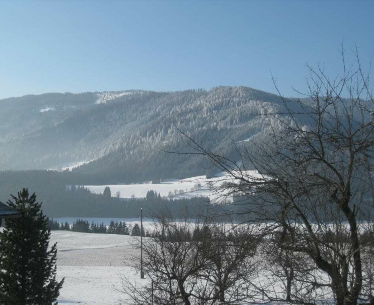 Wintertag in Zedlitzdorf