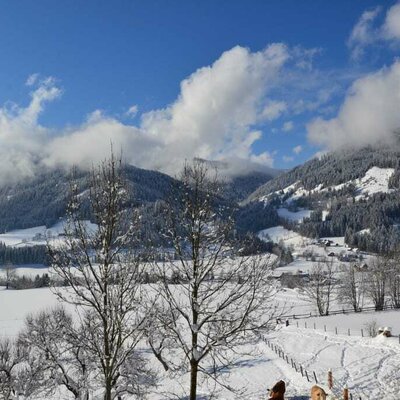 Aussicht vom Balkon