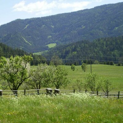 Aussicht vom Balkon