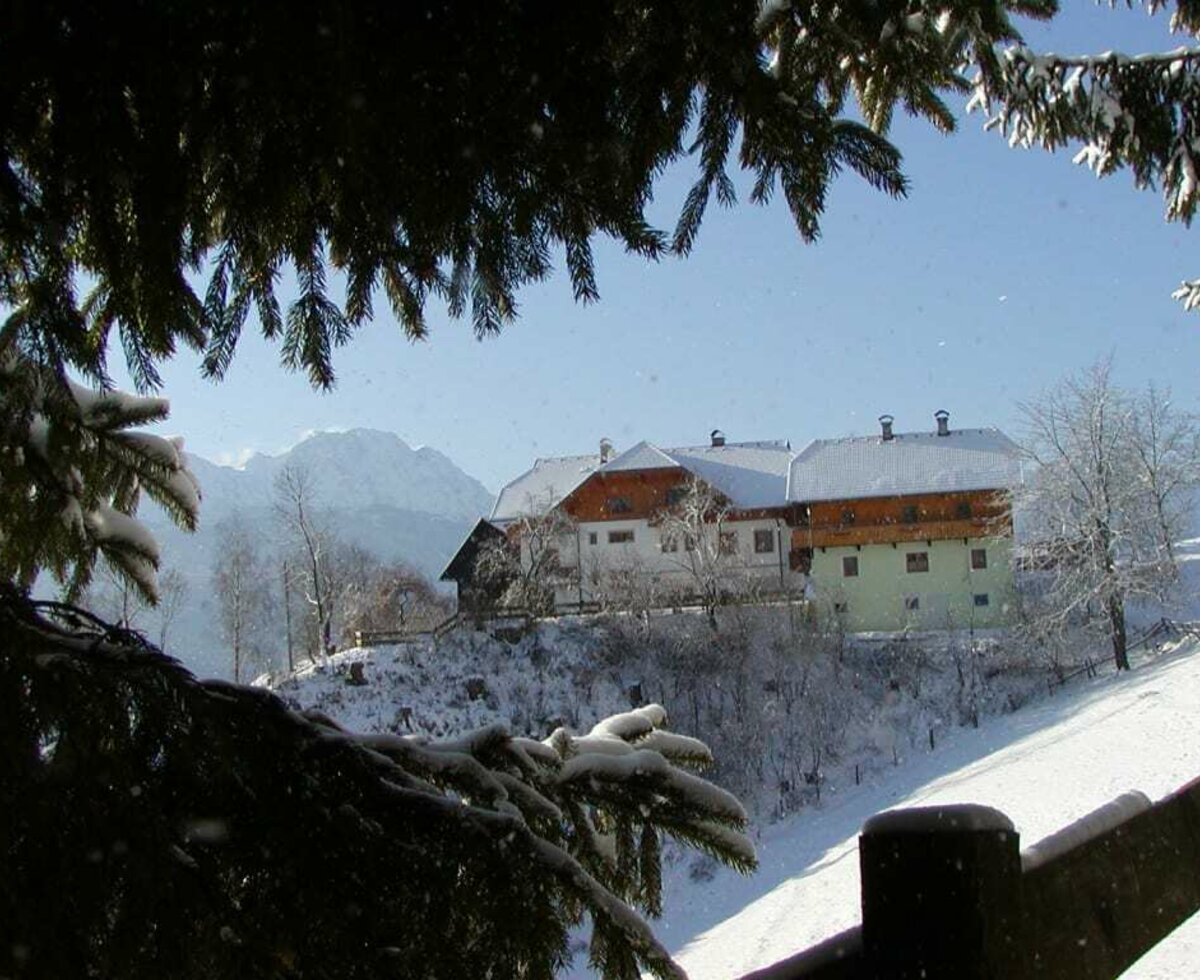 Waldpension Ranner im Winter