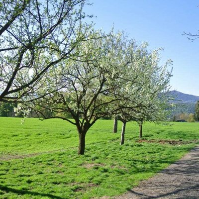 Frühling am Wunderhof