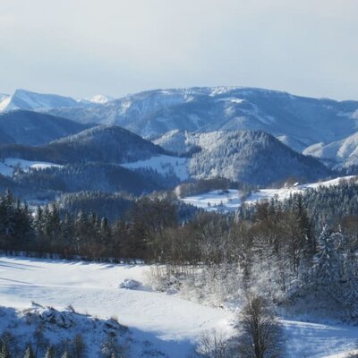 Ötscherblick Familie Winter - Landschaft (© Winter Angelika)