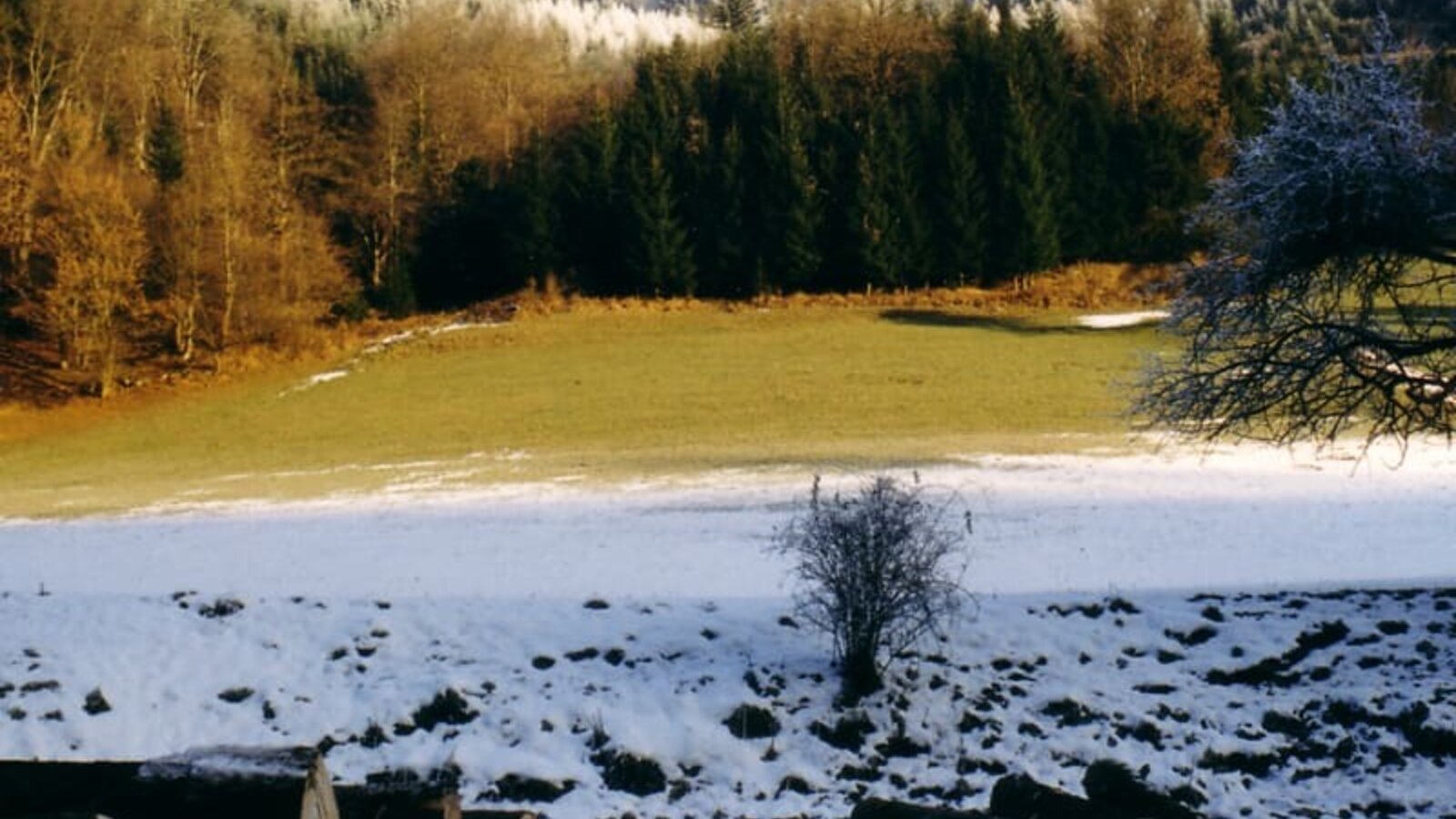 Ausblick vom Sägewerk