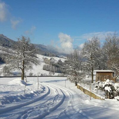 Blick vom Bauernhof in das idylisch verschneite Yspertal