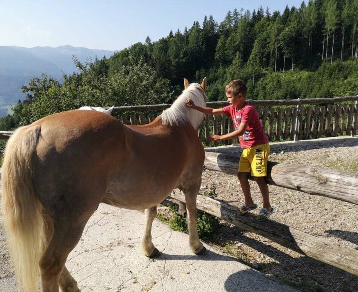 Biobauernhof Kurzeck- Reiten