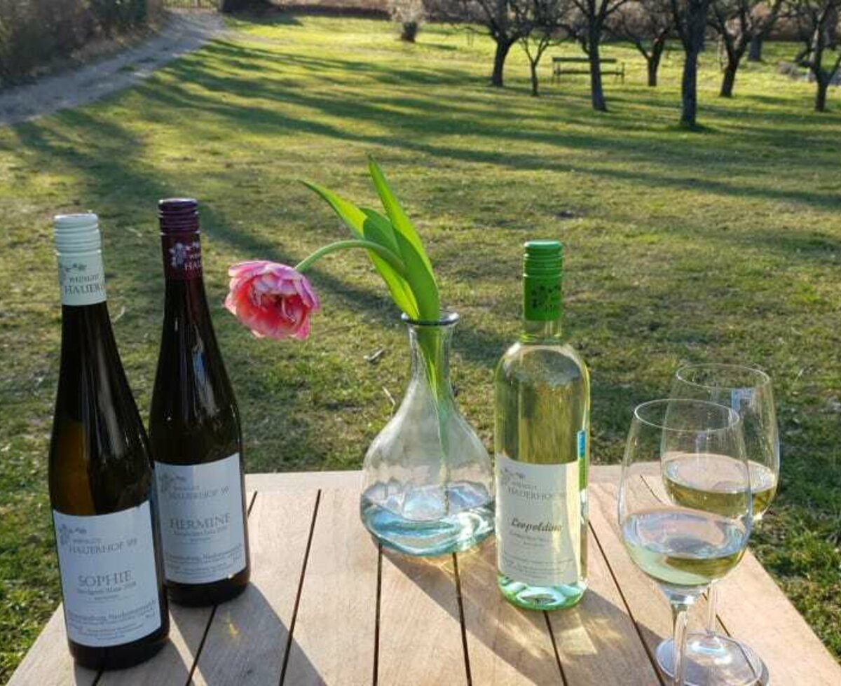 Wein im Garten