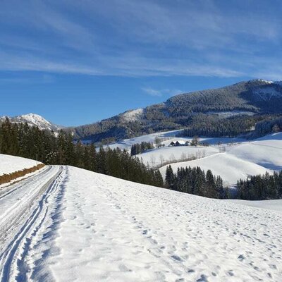 Winterlandschaft 