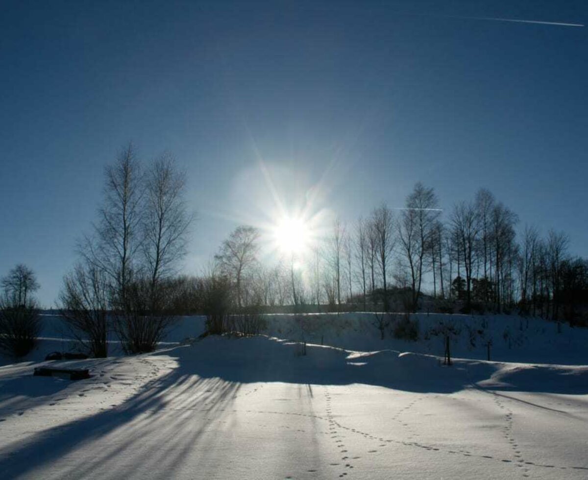 Biohof Besenbäck - Winter in Kleinnondorf