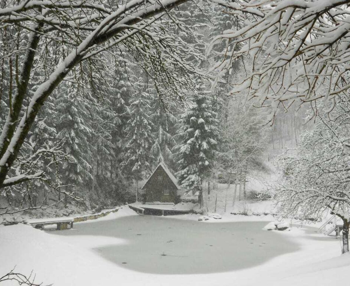 Prannleithen - Winter am Teich