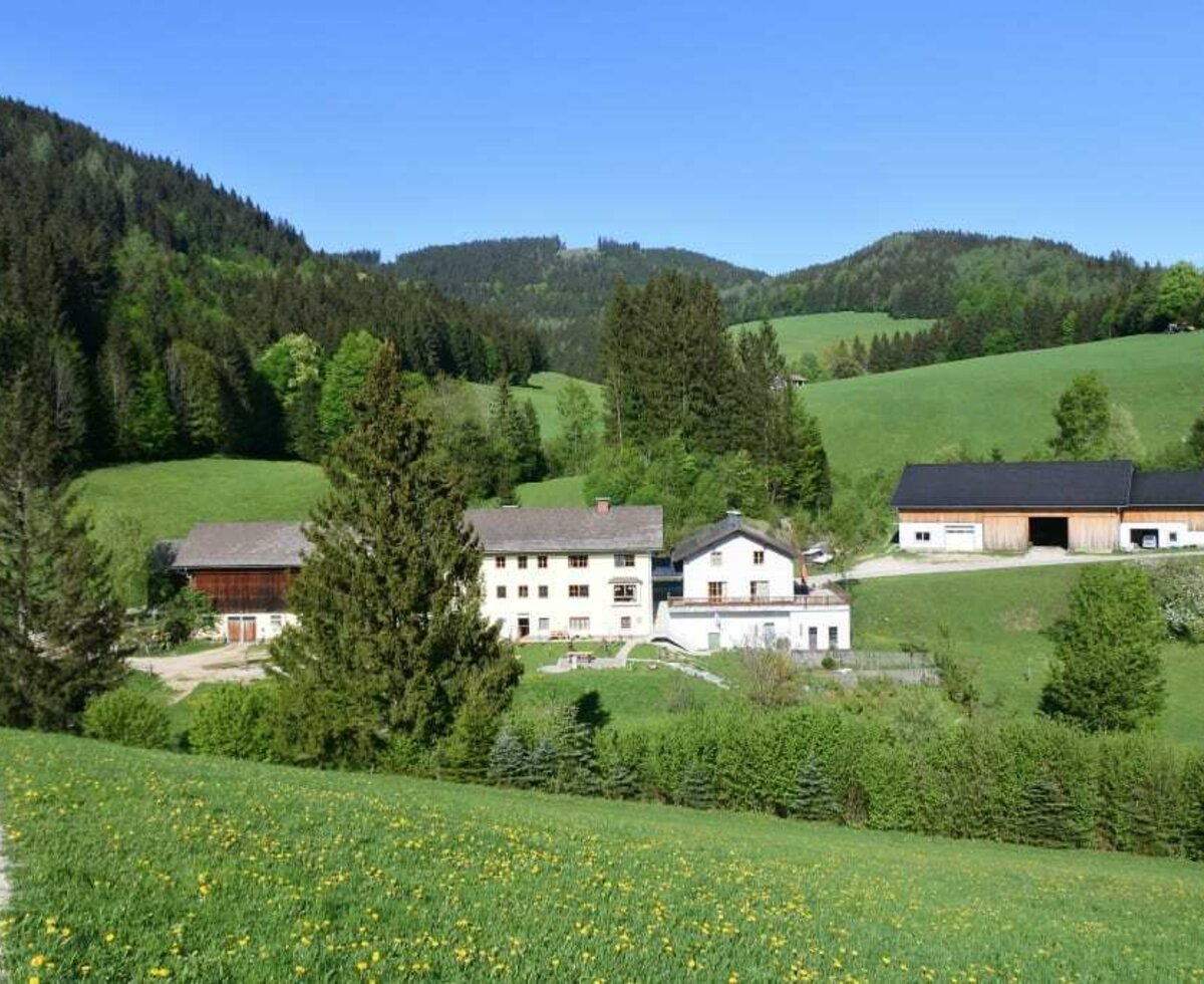 Frühling am Biohof