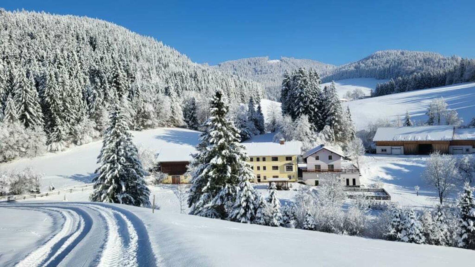 Winter Wunder Land am Biohof Teufel