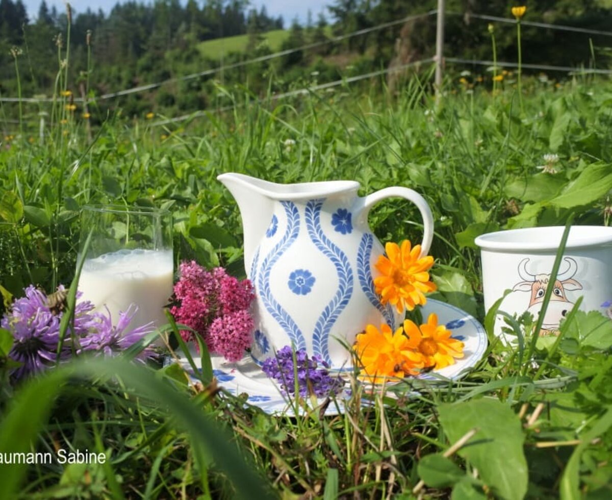 Biohof Teufel - frische Bioheumilch